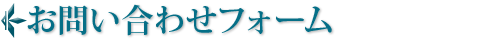 䤤碌ե