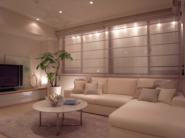 ���㡼�ץ������ɡڥ�ǥ�롼���߱ġۻܹ���100607