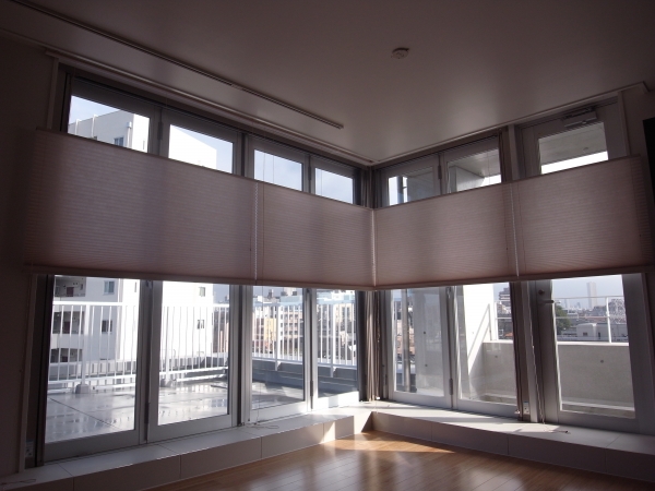 �����륷������ �ۥ磻�ȡڥ��塼����� �ۡ��ܹ���120324